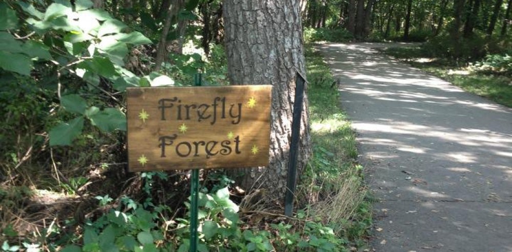 The Firefly Forest