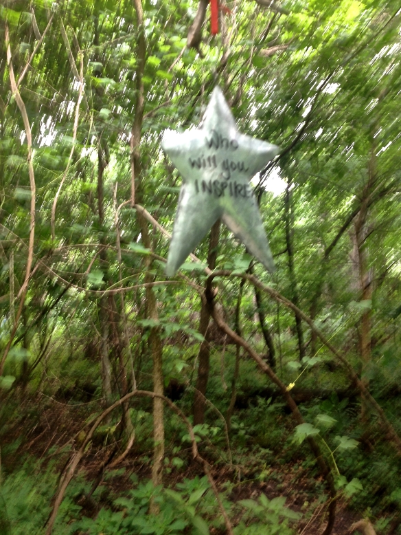 Star at 51 Hollow Tree Lane